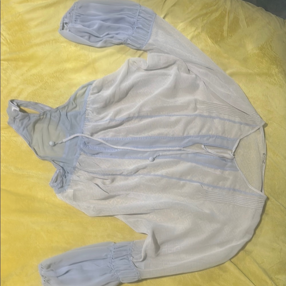 Sheer White and Blue Blouse